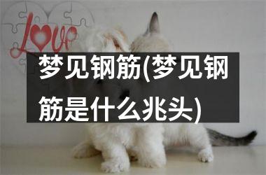 <h3>梦见钢筋(梦见钢筋是什么兆头)