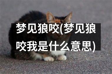 <h3>梦见狼咬(梦见狼咬我是什么意思)