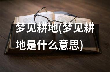 <h3>梦见耕地(梦见耕地是什么意思)
