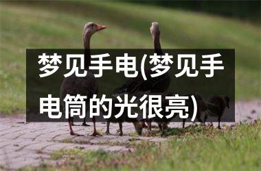 <h3>梦见手电(梦见手电筒的光很亮)