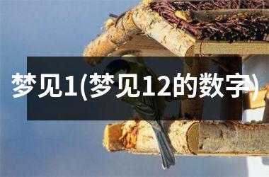 <h3>梦见1(梦见12的数字)