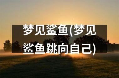 梦见鲨鱼(梦见鲨鱼跳向自己)