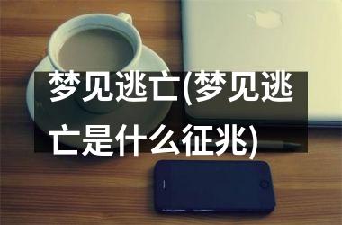 <h3>梦见逃亡(梦见逃亡是什么征兆)