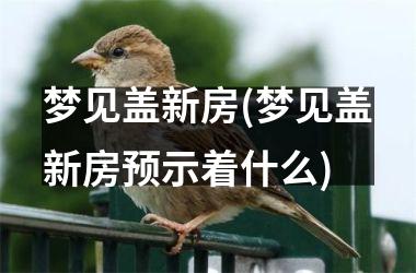 <h3>梦见盖新房(梦见盖新房预示着什么)