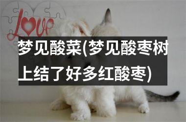 <h3>梦见酸菜(梦见酸枣树上结了好多红酸枣)