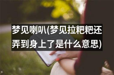 <h3>梦见喇叭(梦见拉粑粑还弄到身上了是什么意思)