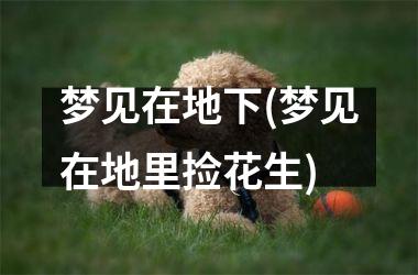 梦见在地下(梦见在地里捡花生)