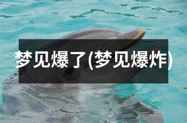 <h3>梦见爆了(梦见爆炸)