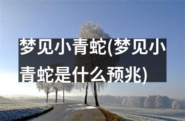 <h3>梦见小青蛇(梦见小青蛇是什么预兆)