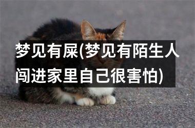 梦见有屎(梦见有陌生人闯进家里自己很害怕)