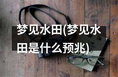 <h3>梦见水田(梦见水田是什么预兆)