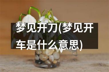 <h3>梦见开刀(梦见开车是什么意思)