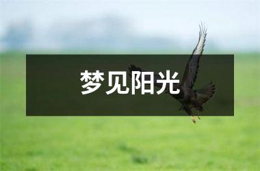 <h3>梦见阳光