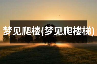 <h3>梦见爬楼(梦见爬楼梯)