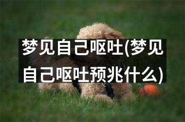 <h3>梦见自己呕吐(梦见自己呕吐预兆什么)