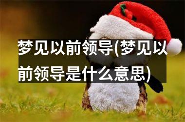 <h3>梦见以前领导(梦见以前领导是什么意思)