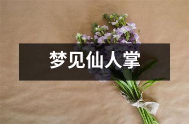 <h3>梦见仙人掌