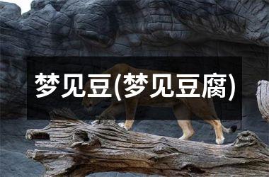 梦见豆(梦见豆腐)