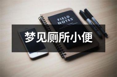 梦见厕所小便