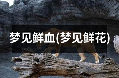 <h3>梦见鲜血(梦见鲜花)