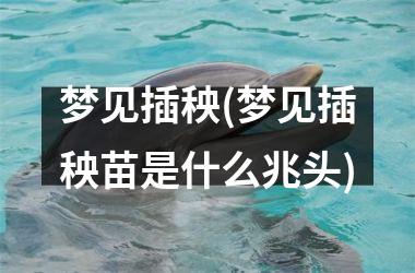 <h3>梦见插秧(梦见插秧苗是什么兆头)