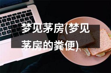 <h3>梦见茅房(梦见茅房的粪便)