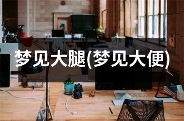 <h3>梦见大腿(梦见大便)