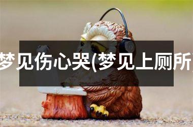 梦见伤心哭(梦见上厕所)