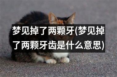 <h3>梦见掉了两颗牙(梦见掉了两颗牙齿是什么意思)