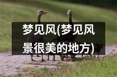 梦见风(梦见风景很美的地方)