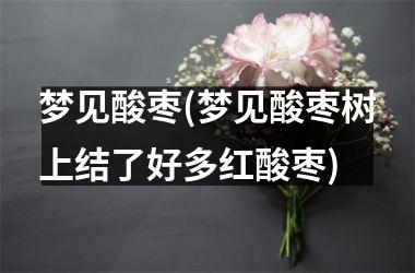 <h3>梦见酸枣(梦见酸枣树上结了好多红酸枣)