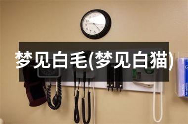 梦见白毛(梦见白猫)