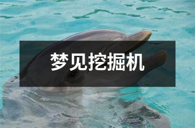 <h3>梦见挖掘机