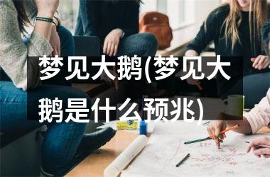 <h3>梦见大鹅(梦见大鹅是什么预兆)