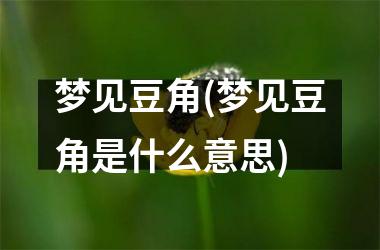 <h3>梦见豆角(梦见豆角是什么意思)
