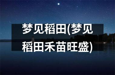 <h3>梦见稻田(梦见稻田禾苗旺盛)