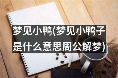 <h3>梦见小鸭(梦见小鸭子是什么意思周公解梦)