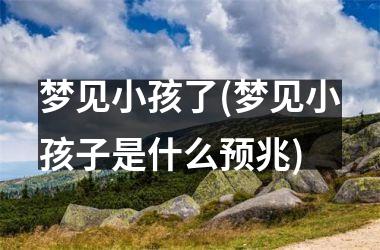 <h3>梦见小孩了(梦见小孩子是什么预兆)