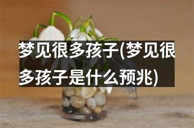 <h3>梦见很多孩子(梦见很多孩子是什么预兆)
