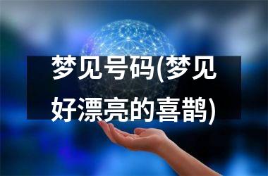 <h3>梦见号码(梦见好漂亮的喜鹊)