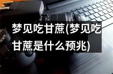 梦见吃甘蔗(梦见吃甘蔗是什么预兆)