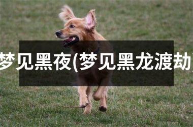 梦见黑夜(梦见黑龙渡劫)