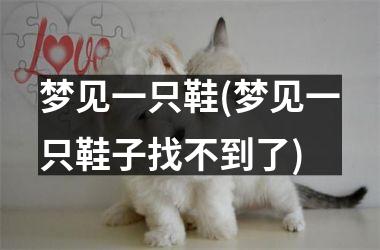 <h3>梦见一只鞋(梦见一只鞋子找不到了)