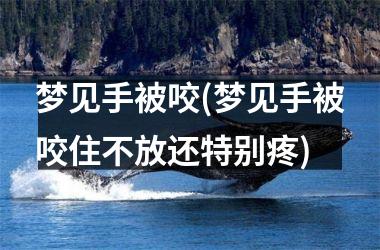 <h3>梦见手被咬(梦见手被咬住不放还特别疼)