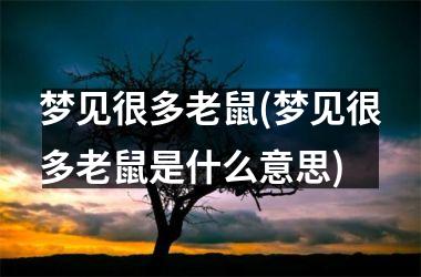 <h3>梦见很多老鼠(梦见很多老鼠是什么意思)