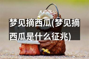 <h3>梦见摘西瓜(梦见摘西瓜是什么征兆)