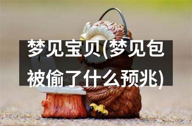 梦见宝贝(梦见包被偷了什么预兆)