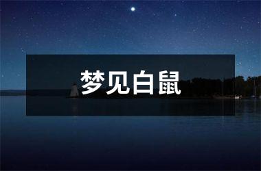 <h3>梦见白鼠