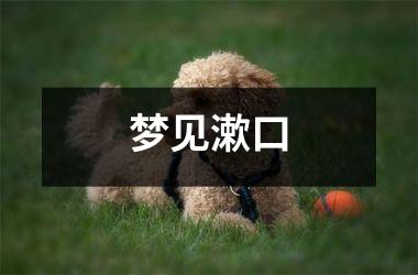 <h3>梦见漱口