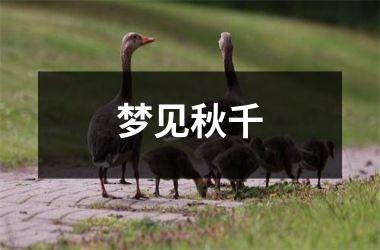 <h3>梦见秋千
